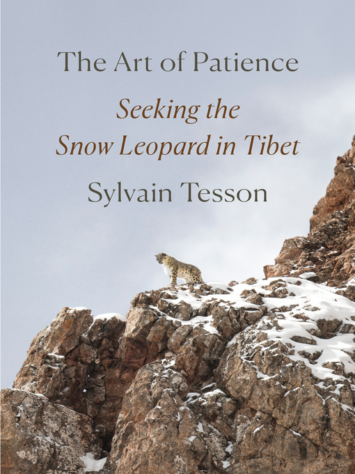 Title details for The Art of Patience by Sylvain Tesson - Available